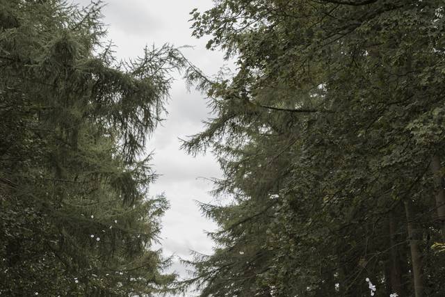 Front of House- Confetti