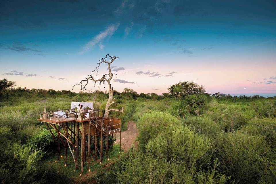 Lion Sands, South Africa