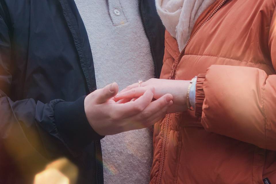 Proposal by Ross Fountain