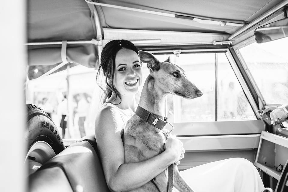 Bride with dog in car