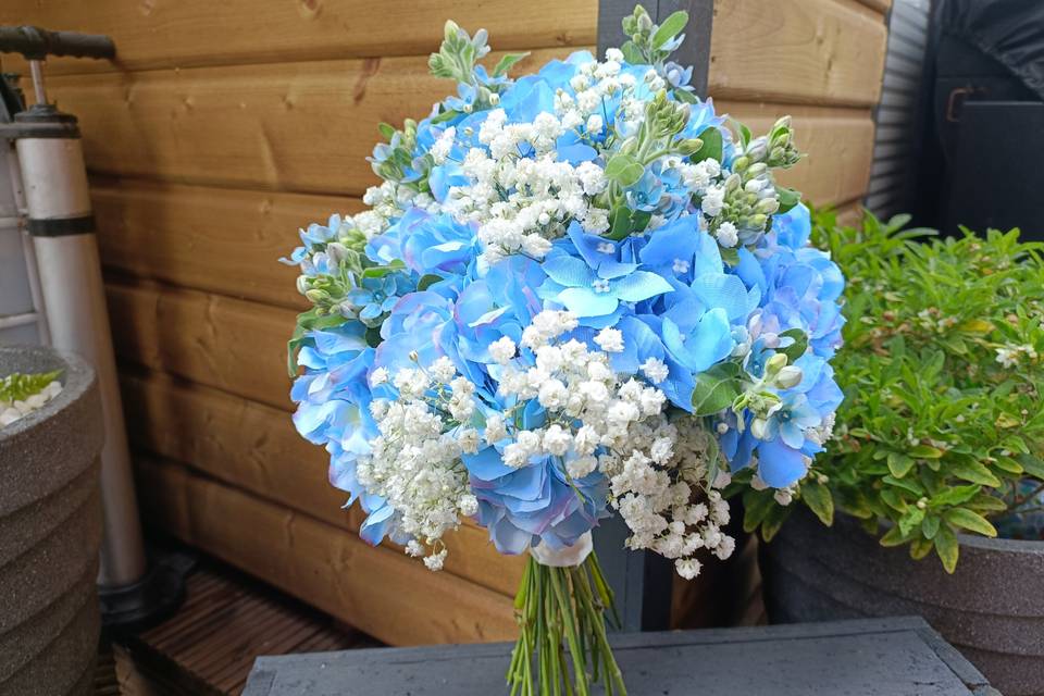 Blue Hydrangeas