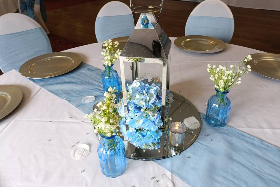 Blue Hydrangeas