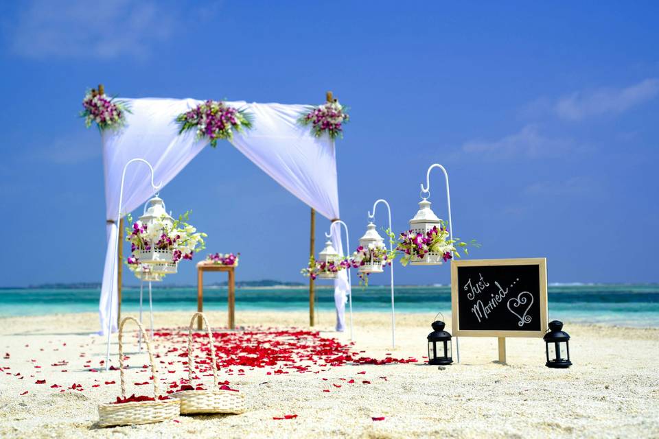 Beach set-up