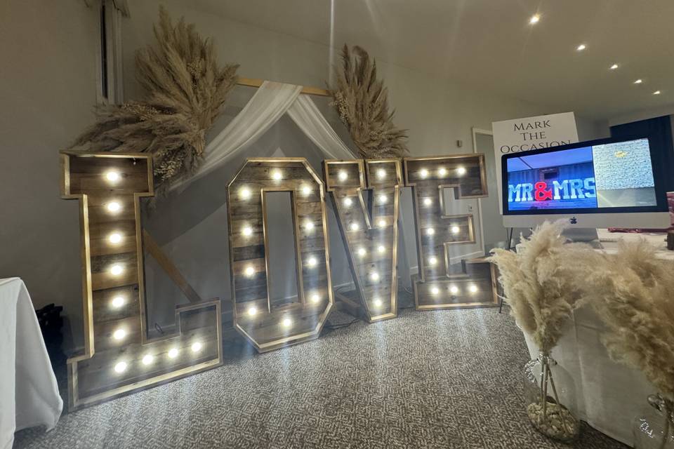 Rustic Arch with Pampas