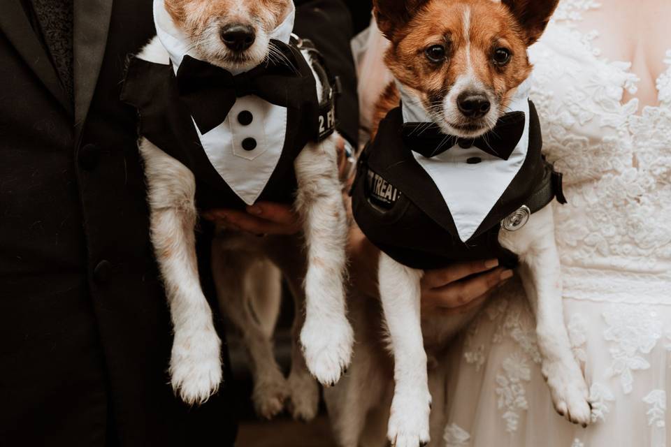 Special guests