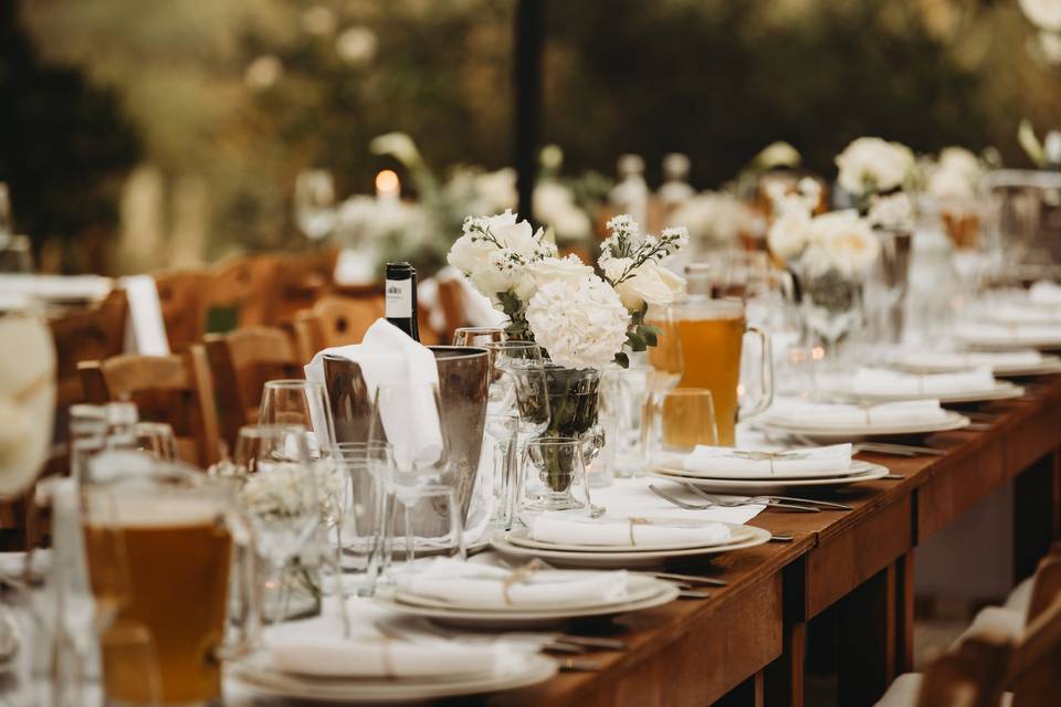 Dinner Massello Garden