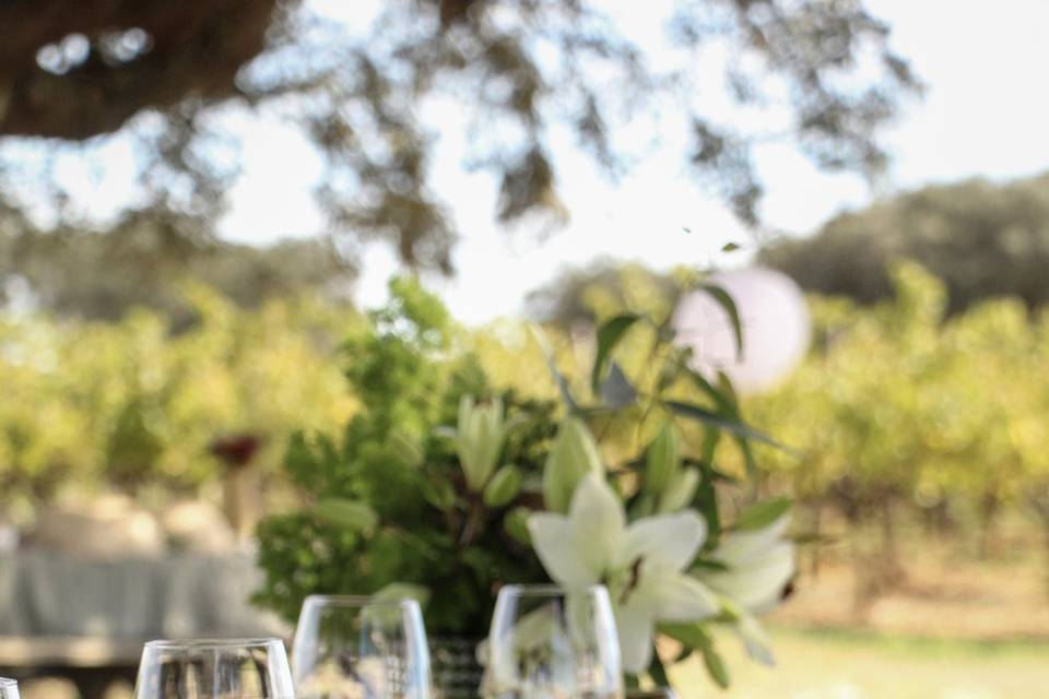 Table set-up in Alentejo