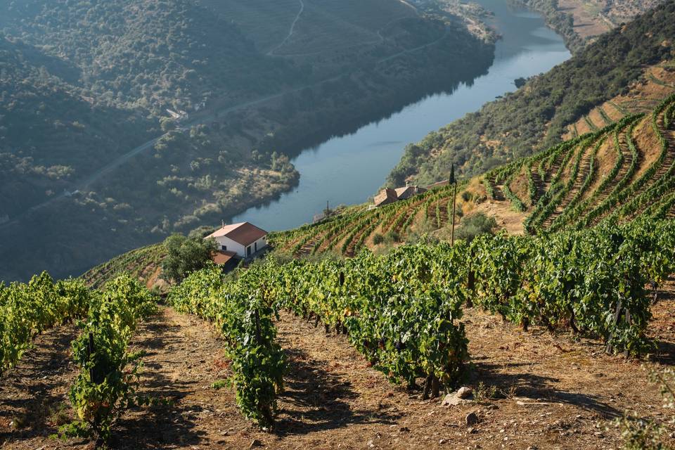 Douro Valley Wedding