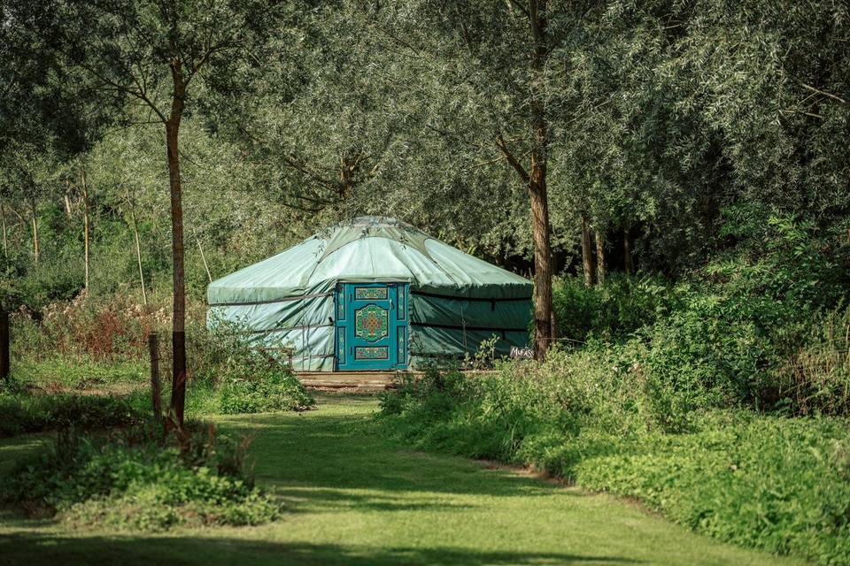 Glamping - yurt