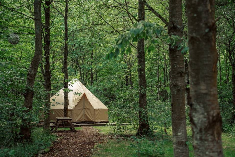 Glamping - bell tent