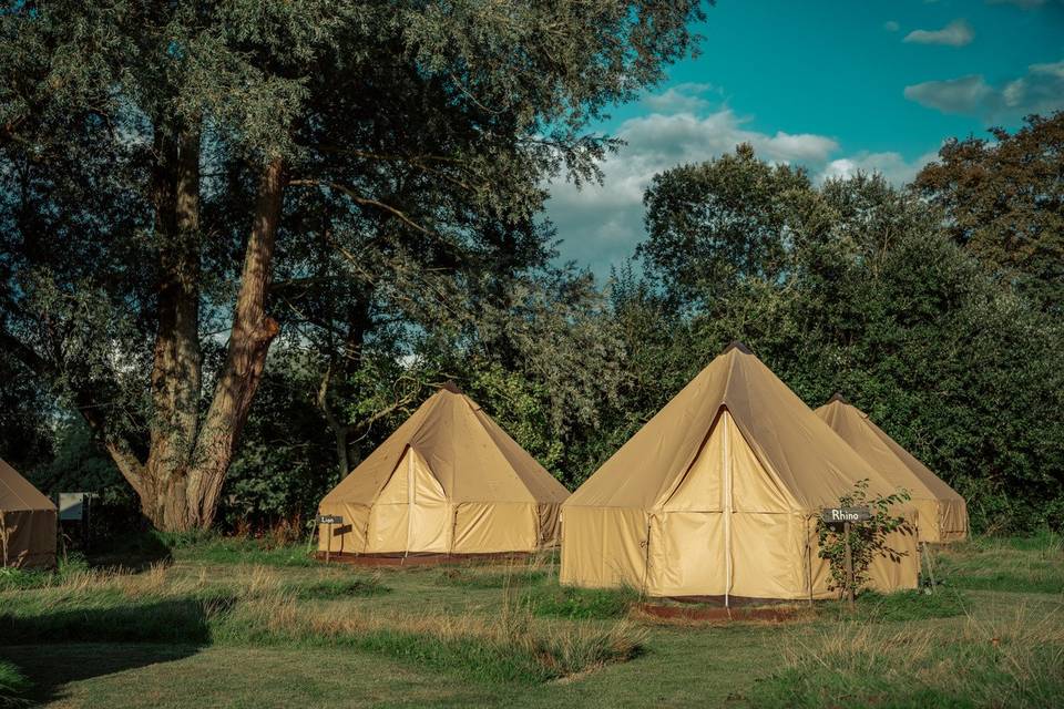 Glamping Tents