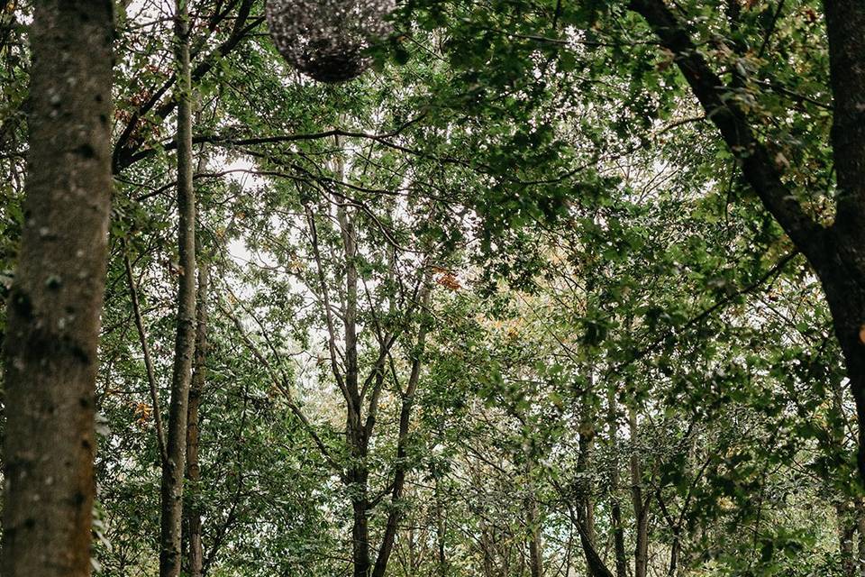 Real Wedding-Teybrook Orchard