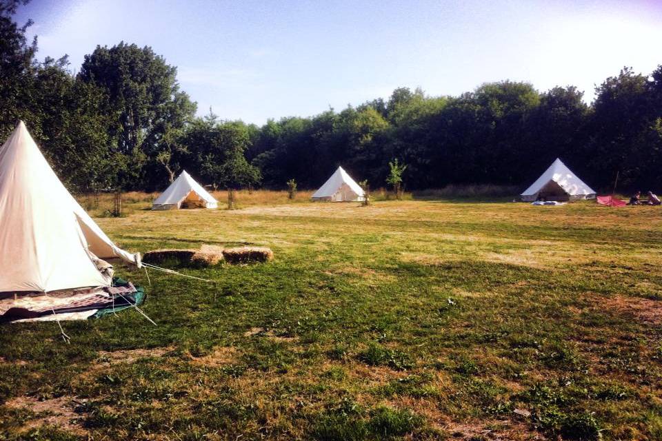 Bell tents in apple orchard