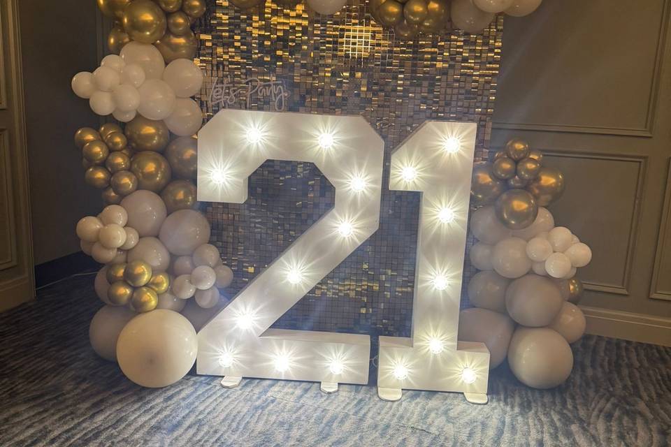 LED number lights