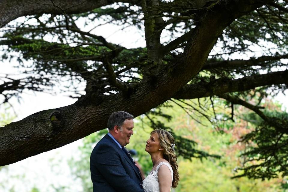 Under the tree
