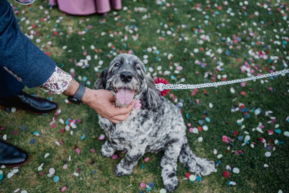 The Gamekeeper's Inn Wedding