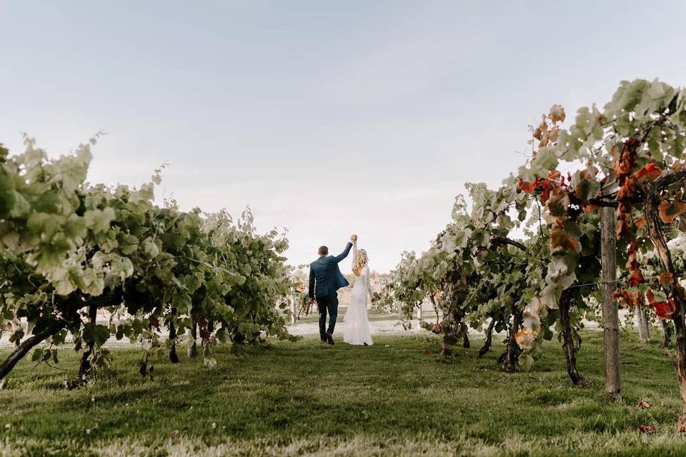 Wickham Estate Vineyard