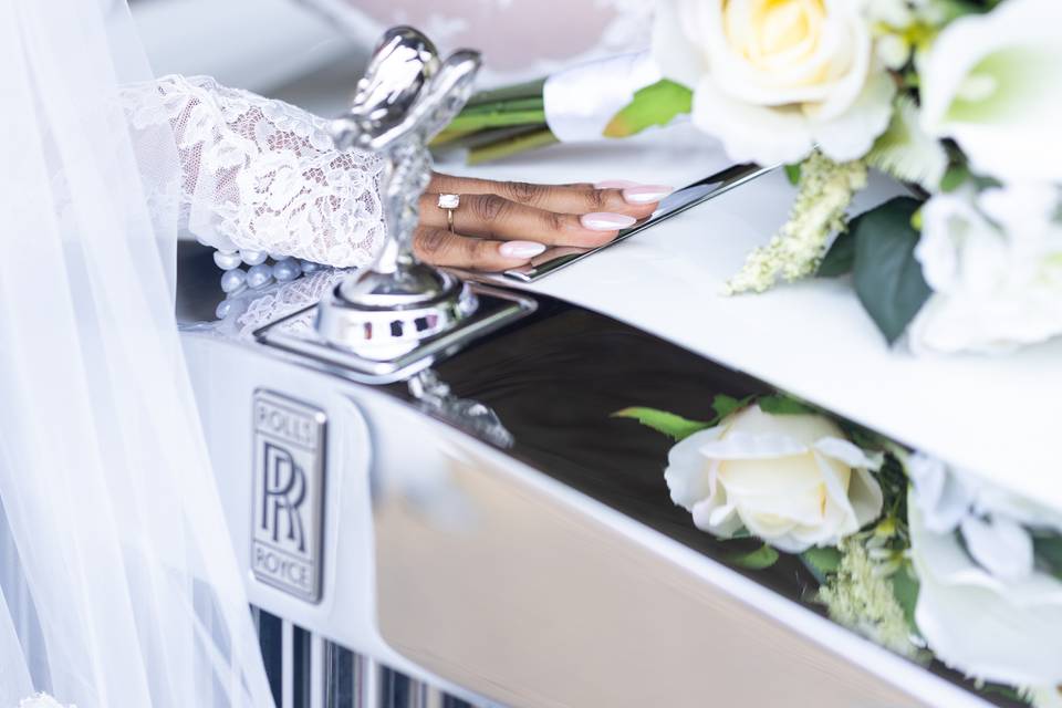 Timeless elegance