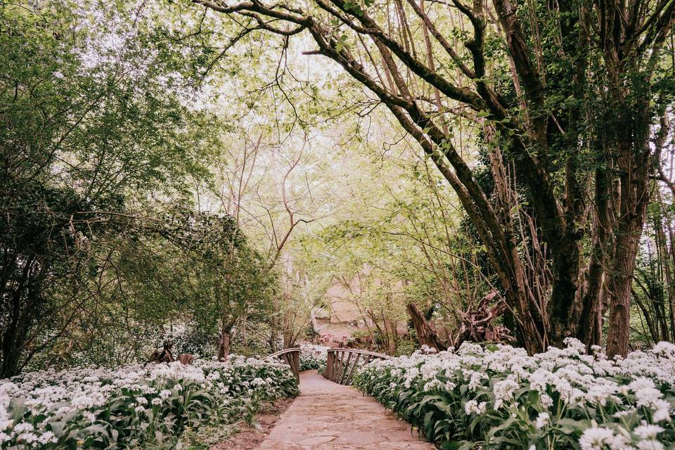 Bridge to Woodland ceremony