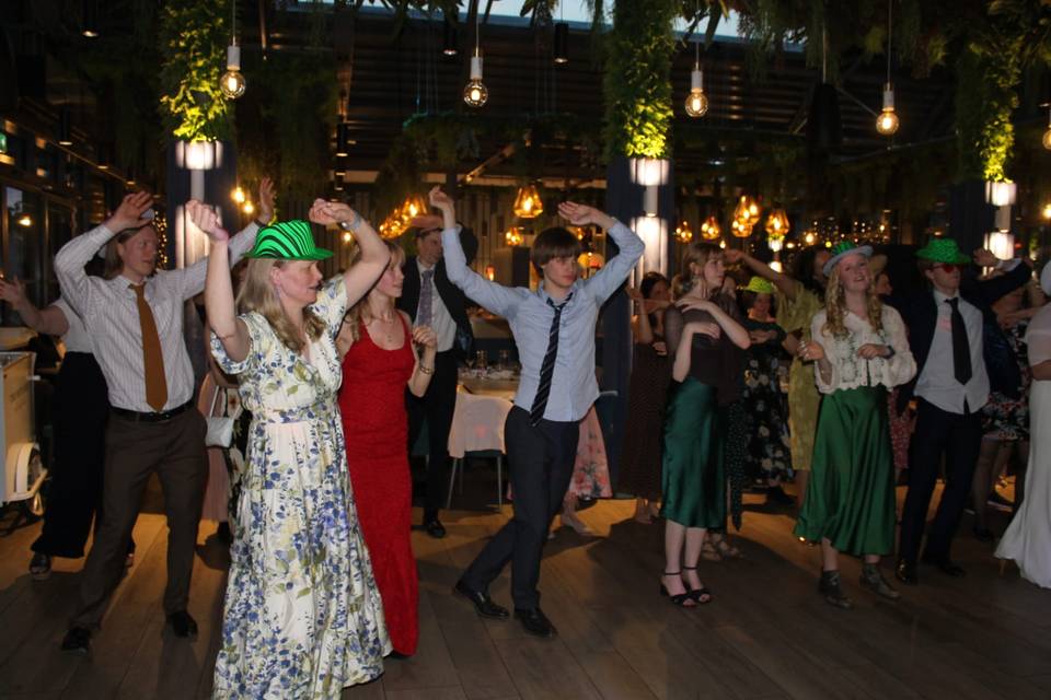 Wedding Party Dancing