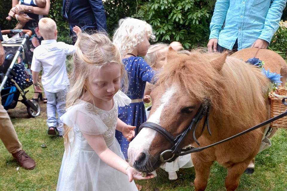 With Molly the bridesmaid