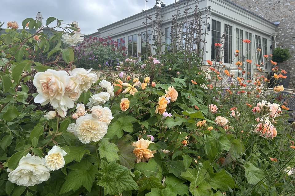 Our roses for the confetti