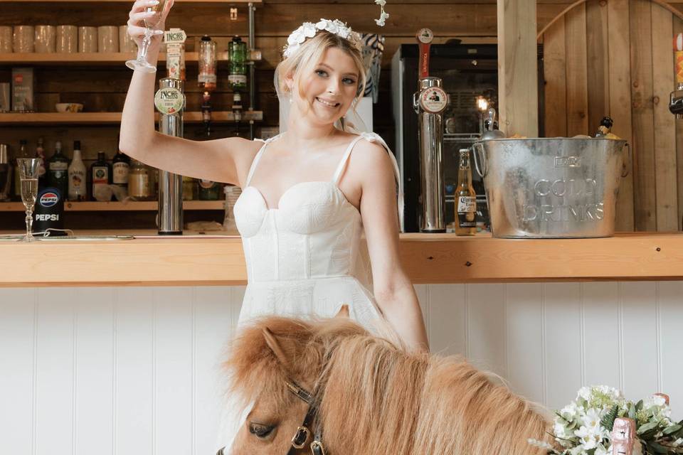 At the Bar