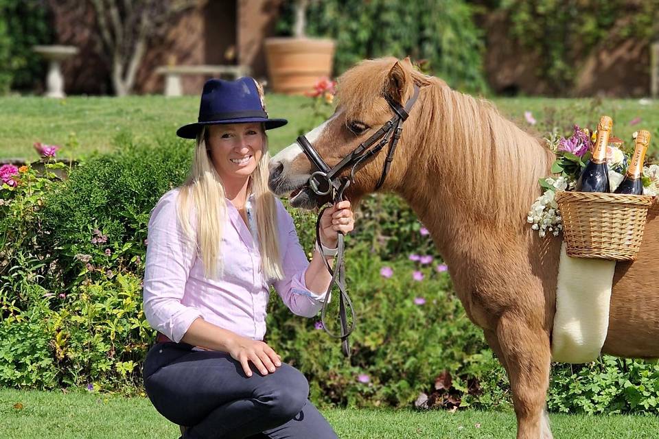 Archie P the Devon Pony