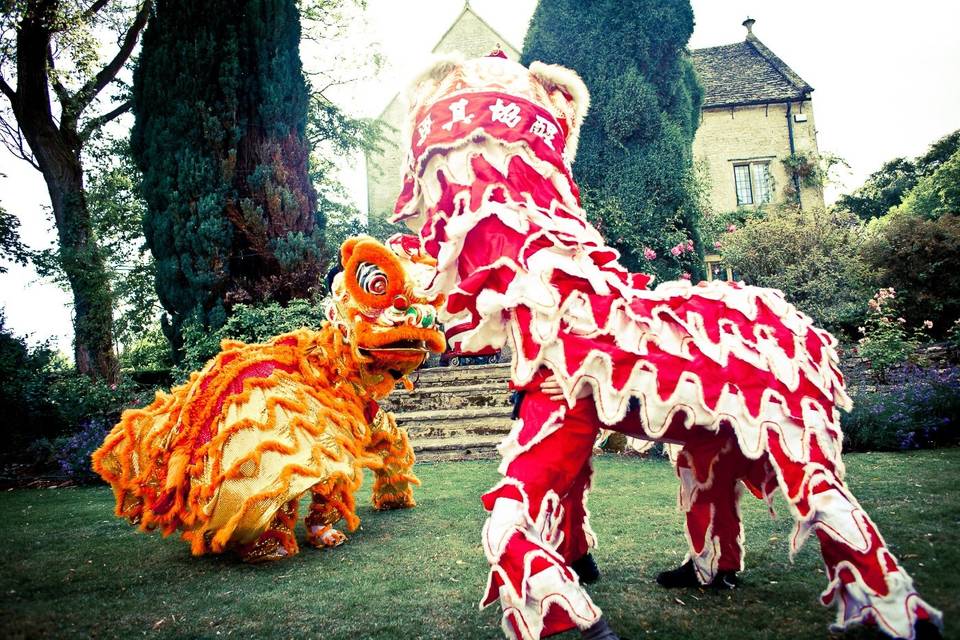 Chinese Dragons!