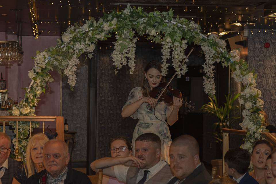 Violinist Surprised the Bride