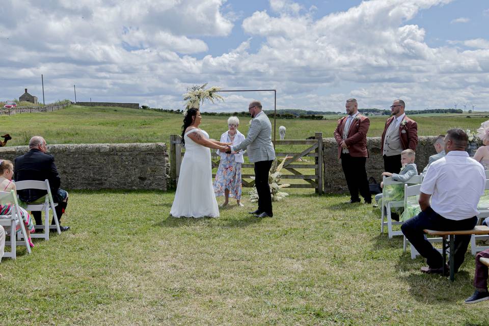 Alpaca weddings