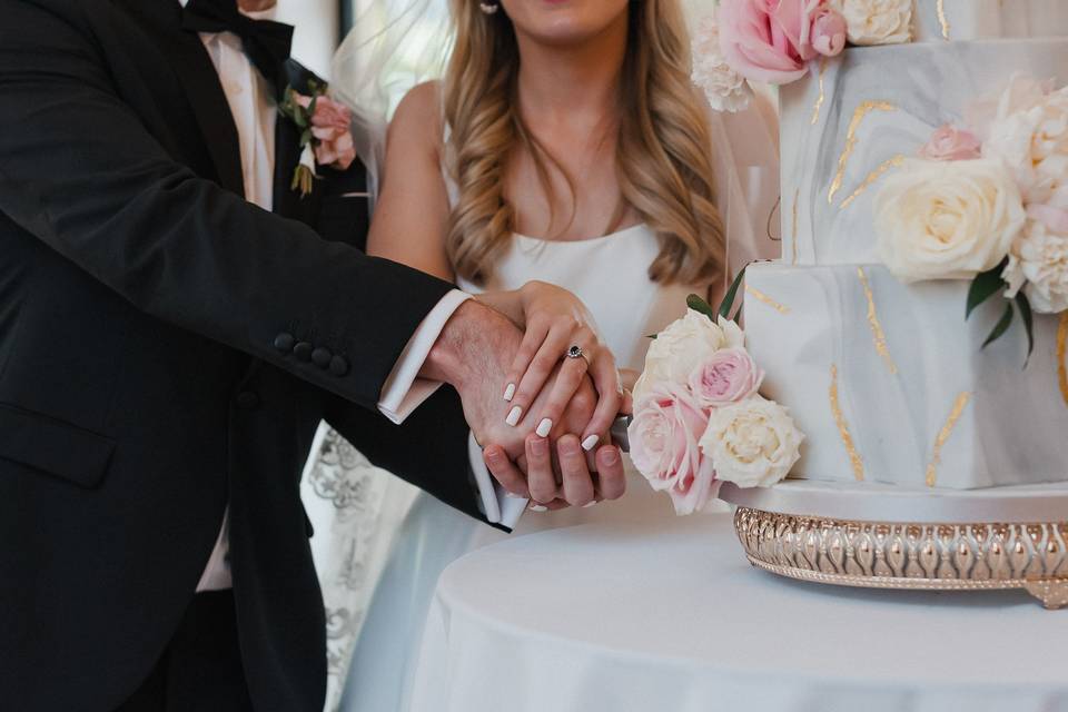 Wedding Cake Cutting