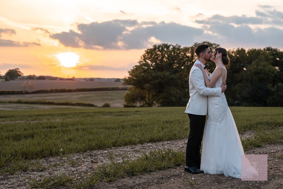 Field sunset