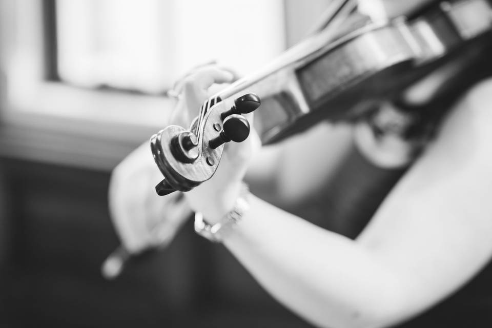 Wedding violinist