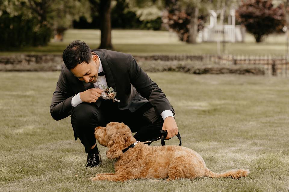 Dog Friendly Wedding Venue