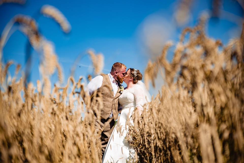 Stock farm Wedding