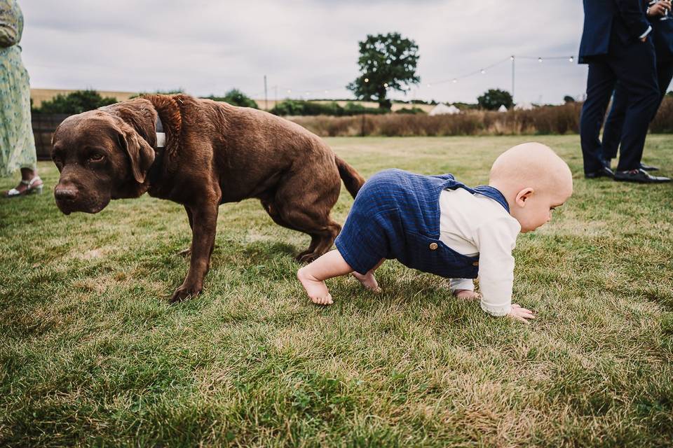 Dog and baby