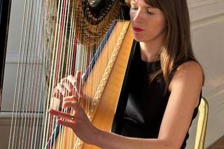 Alice Wonder Harp