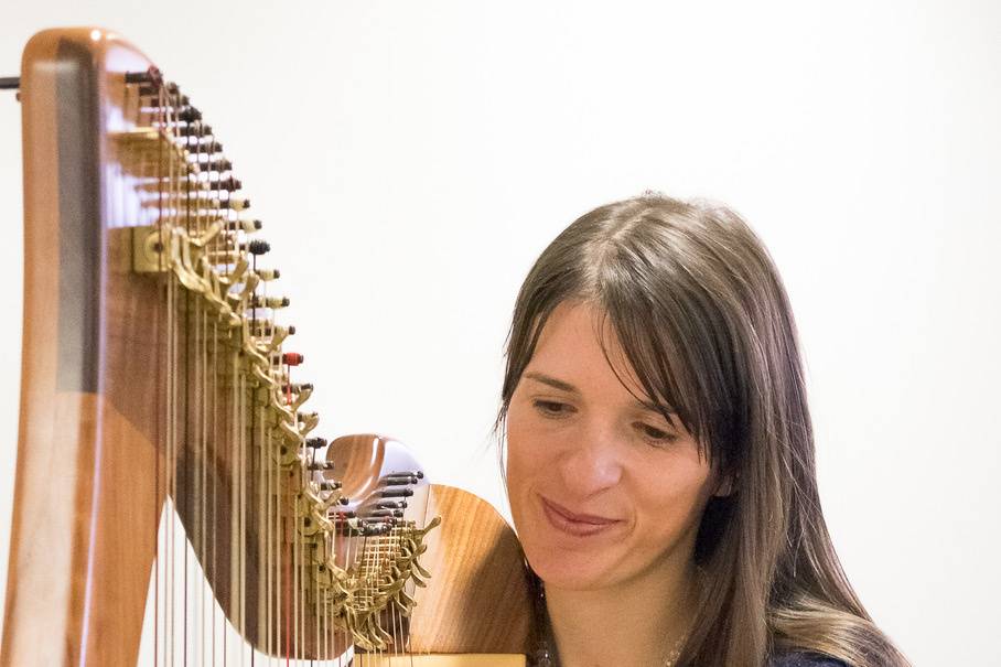 Harp close up 2