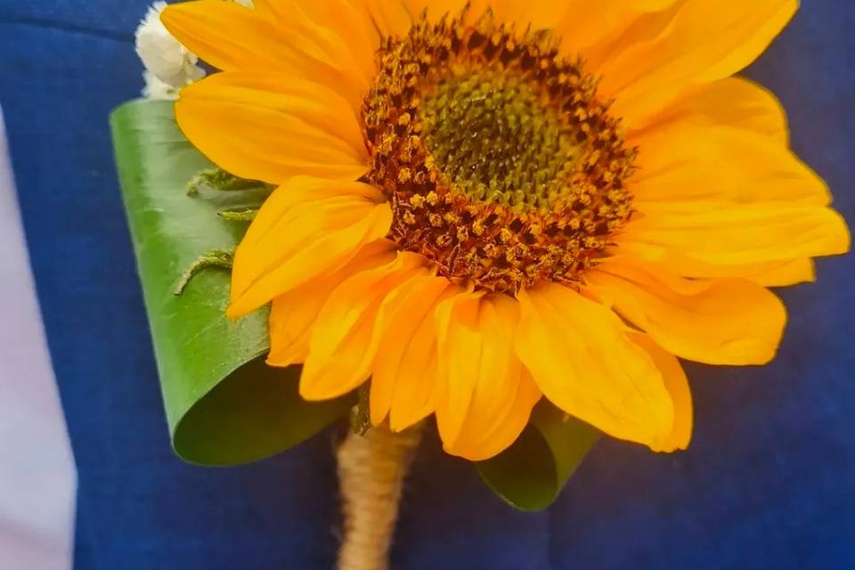 Buttonhole