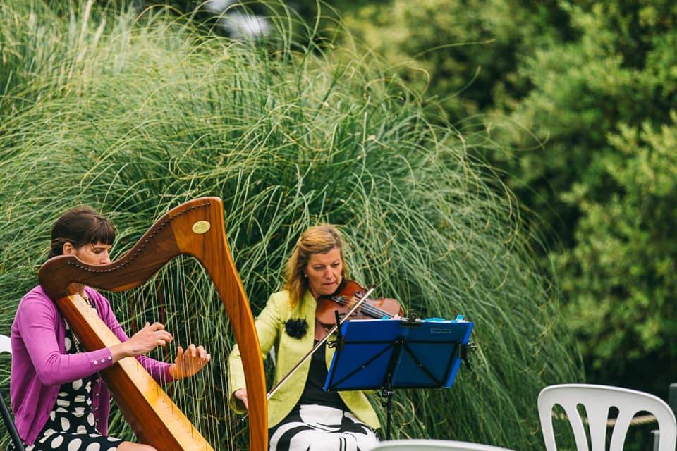 Harp and Violin duet