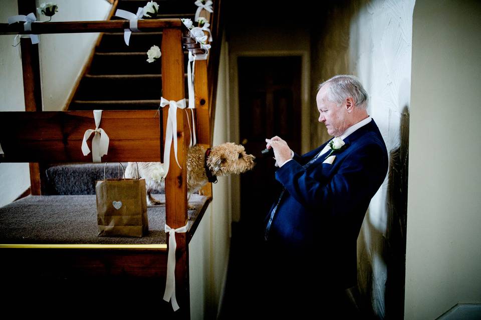 Dogs and weddings, documentary