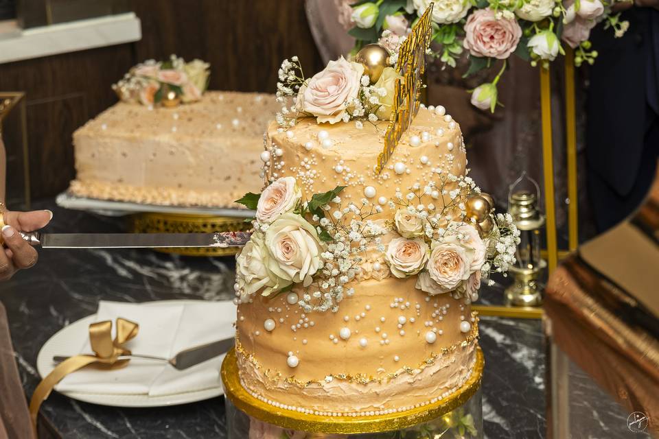 Thanish & Nabeeha Engagement