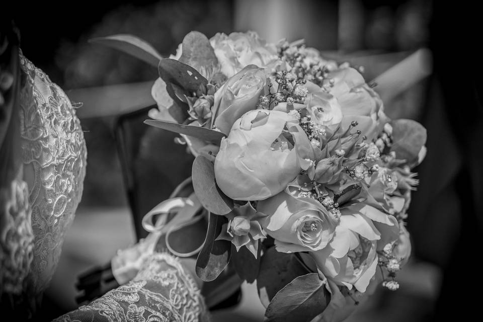 Rafik & Diana Registry Wedding