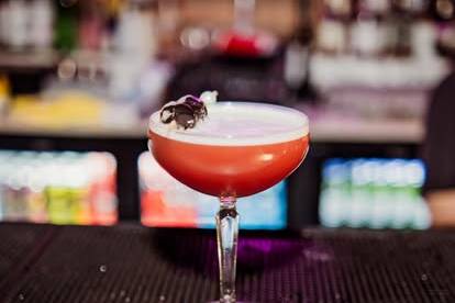 Fancy a sip?