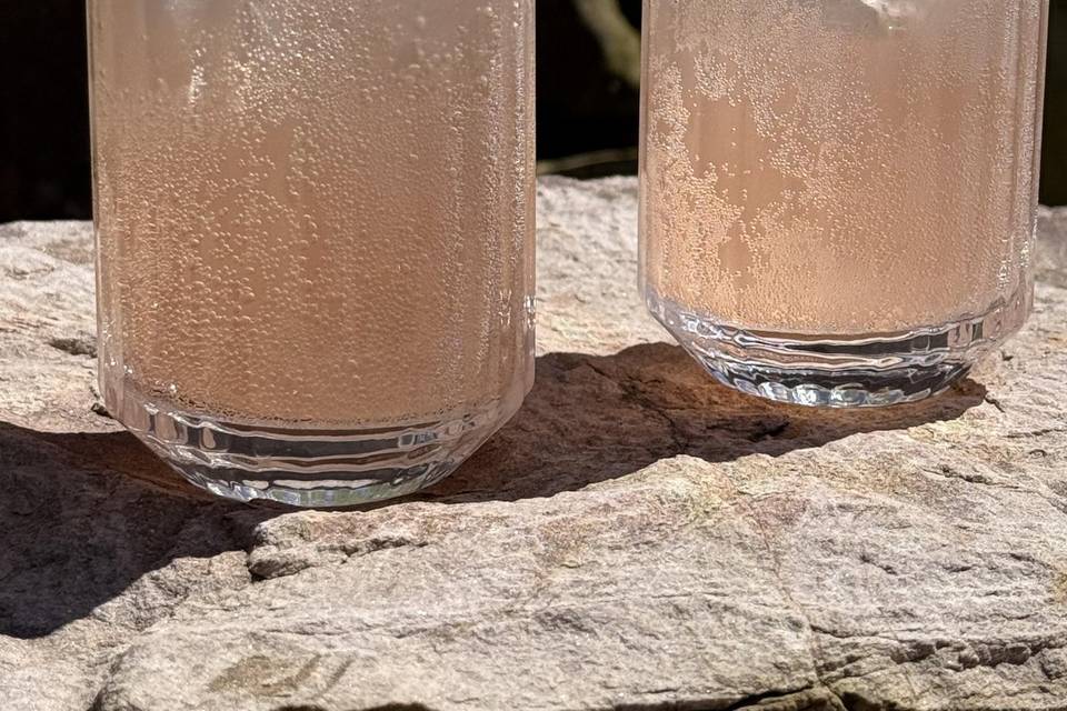 Rhubarb spritz