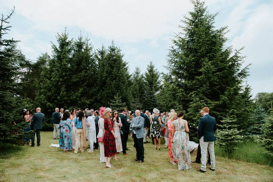 Woodland Hollow Weddings