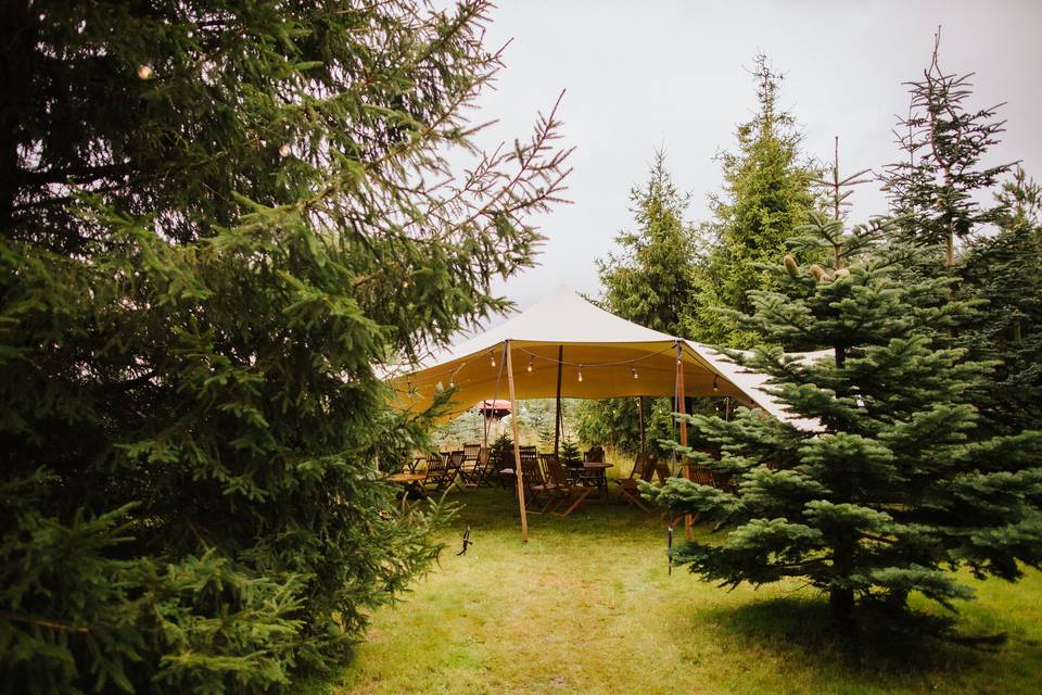 Stretch tents in the trees