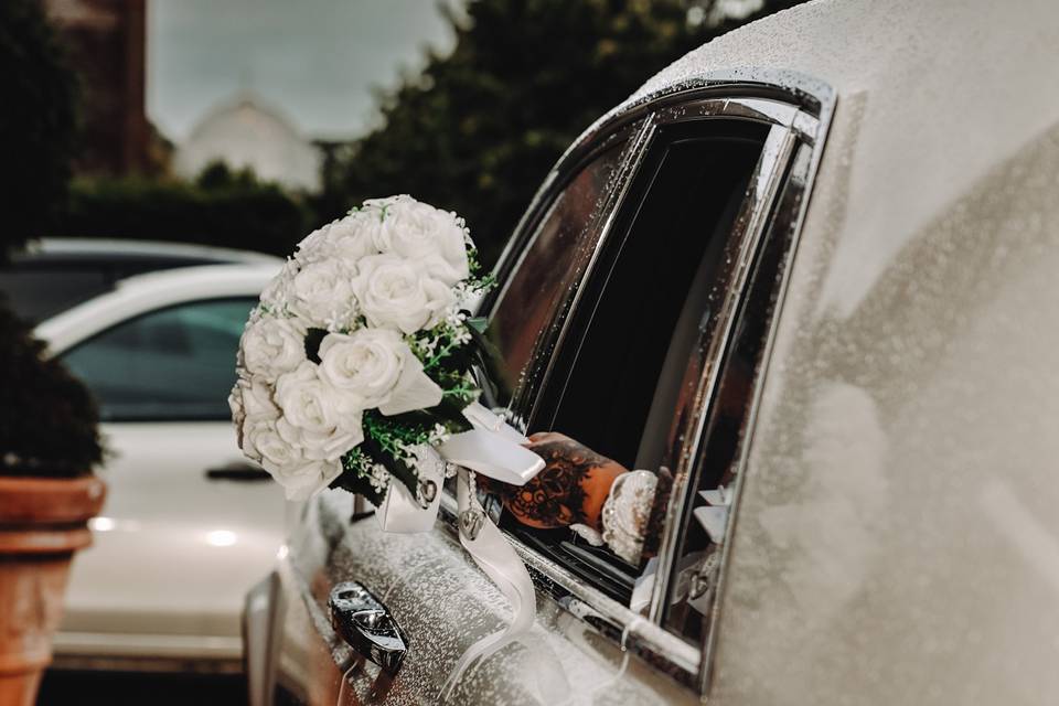 White roses in the rain