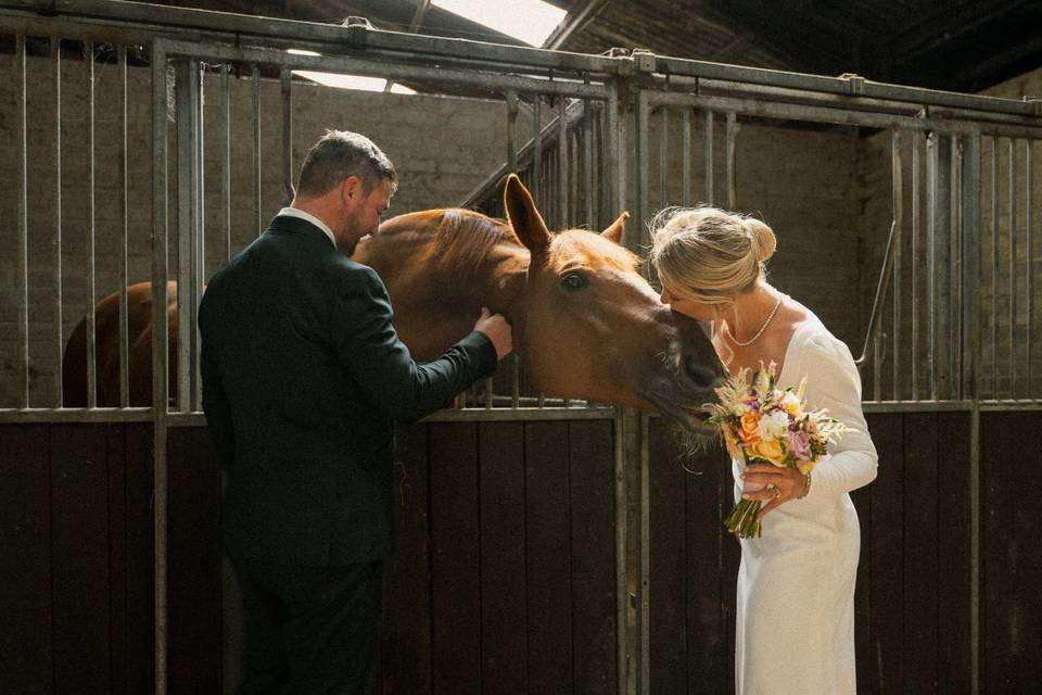 Horses